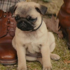 Асем Тулеубай, Шымкент