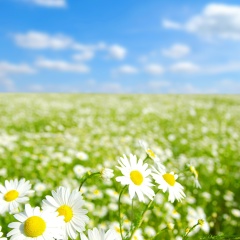 Елена Груша, 17.12.1983, Санкт-Петербург