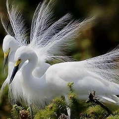 Альфия Джаахунова, 15.08.2001