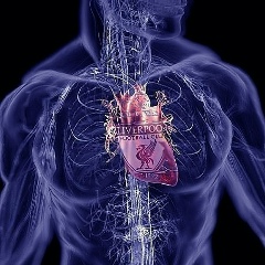 Alexander Lobyntsev, Курск