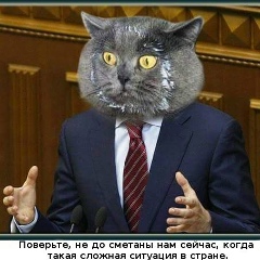 Алим Алимов, 18.01