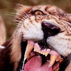 Ксюша Павлова, 06.04.1986, Москва