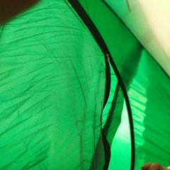 Egor Trukhachev, 04.02, Санкт-Петербург