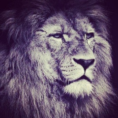 Ислам Акбердаев, 17.03.1992, Грозный