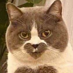 Лена Моздок, 17.10, Санкт-Петербург