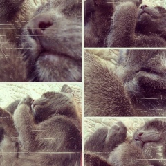 Анастасия Собко, 14.02, Астана