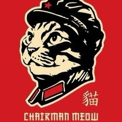 Хам Ас, 21.11.1983, Грозный