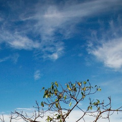 Татьяна Ким, 06.10.1981, Алматы