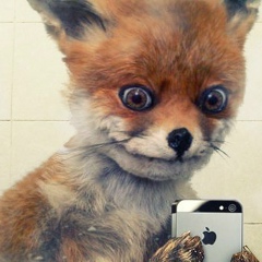 Анна Демченко, 27.11, Санкт-Петербург