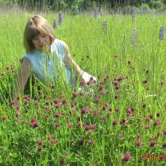 Елена Линейцева, Воронеж