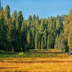 Алексей Кочнев, 06.03, Тюмень