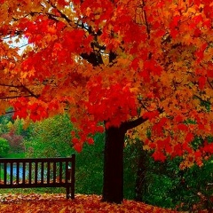 Assel Domalakova, 25.03, Алматы