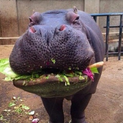 Сергѣй Скаловъ, 17.07.1985, Москва