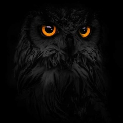 Ольга Робонен, 04.09