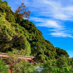Айгуль Жусупова, Конаев / Капшагай