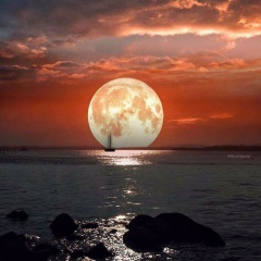 Рамазан Мустафаев, 24.07.1980, Санкт-Петербург