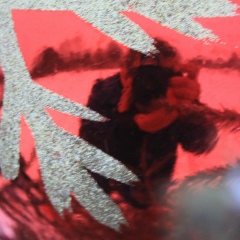 Алексей Морозов, 16.03.1985, Фрязино