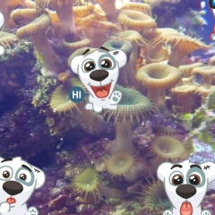 Александр Ефимов, 28.09, Санкт-Петербург