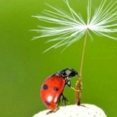 Природа Интересно, 04.10, Уфа