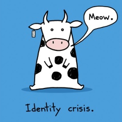 Наталья Белицкая, 16.11