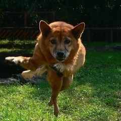Olga Milova, 22.04.1988