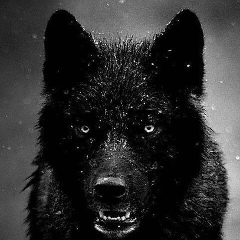 Laki 2007, 23.09, Москва