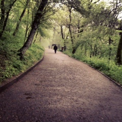 Ayub Ayub, Грозный