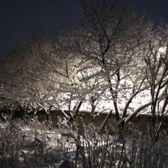 Ggg Aaa, 28.05.1994, Ереван