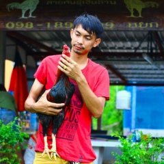 ศุภมิตร หมายตอมกลาง, 14.05.1993