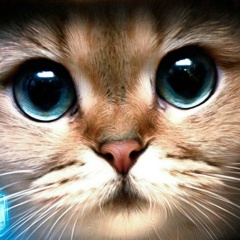 Валерий Муравцев, 11.09.1991, Волгоград