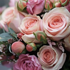 Кира Коломыдцева