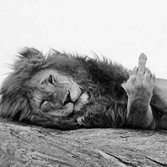 Anton Rudenko, 25.06.1987, Черногорск