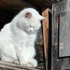 Александр Хатунцев, 11.01.1995, Воронеж