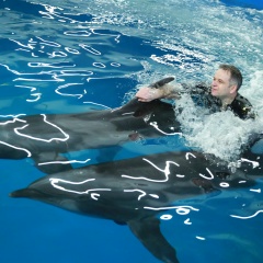 Владимир Пономарчук, 30.11, Москва