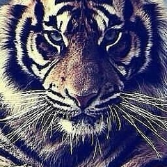 Сухроб Диванов, 07.02.1991, Хива