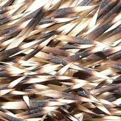 Иван Иванов, 24.02.1920, Воркута