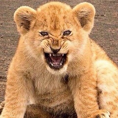 Мурад Абасов, 01.08.1989, Хасавюрт