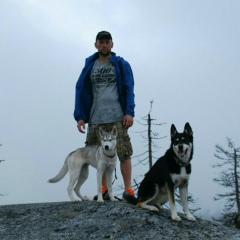 Антон Анисимов, 31.12.1981, Великий Новгород