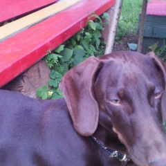 Маша Шарафутдинова, 11.07, Пермь