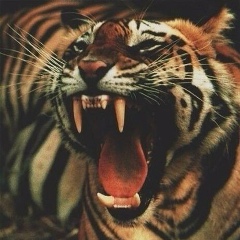 Никита Хрусталёв, 22.01, Владивосток