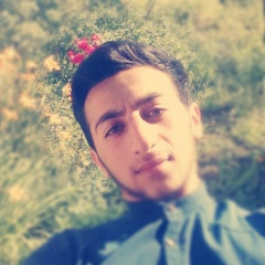 Eyyub Memmedli, 01.11.1994, Баку