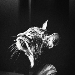 Сергей Ворон, 11.04.1999, Альметьевск