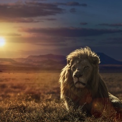 Азамат Азаматов, 26.08.1993