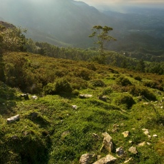 Викторин Вик, Новокузнецк