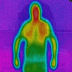 Александр Баранов, 09.06.1977, Санкт-Петербург