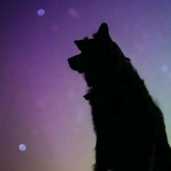 Наталия Кузнецова, Санкт-Петербург