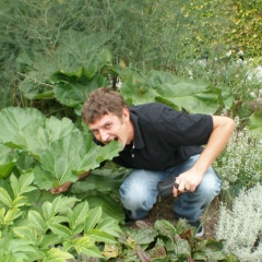 Тарас Крегенбільд, 08.01.1983, Львов