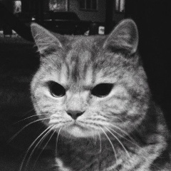 Эмиль Шагеев, 06.03, Москва