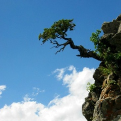 Аслан Елканов, Нальчик