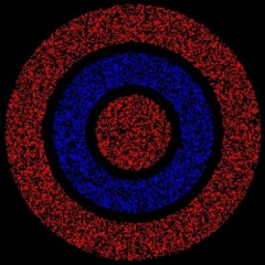 Антон Пастух, Москва